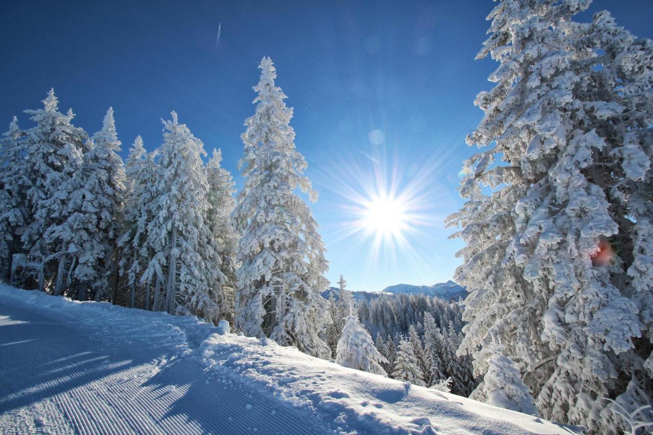 Hotel Alpenschloessl Sankt Johann im Pongau Exteriér fotografie